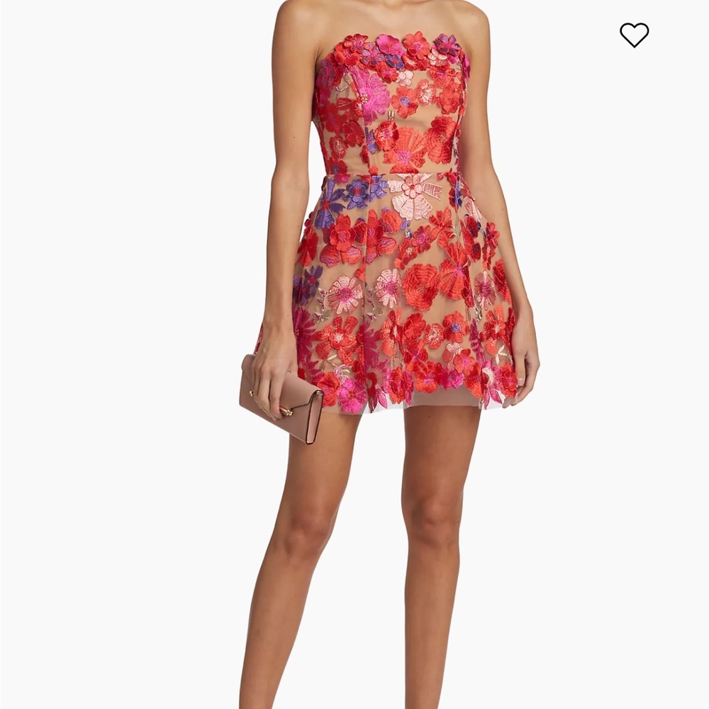 Elliott cocktail - worn for 2 hours. Fabulous dress